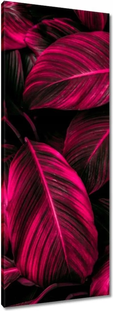 Vászonkép 40x100 Rózsaszín levelek