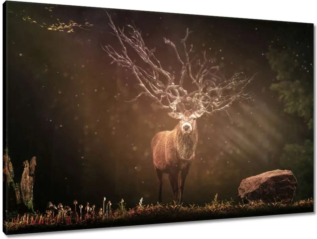 Vászonkép 90x60 Szarvas felszarvazott