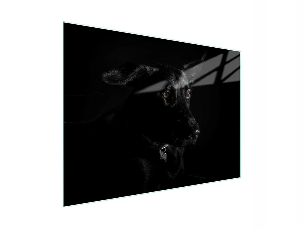 Üveg Vágódeszka 40x30 Kutya Edzett Üveg