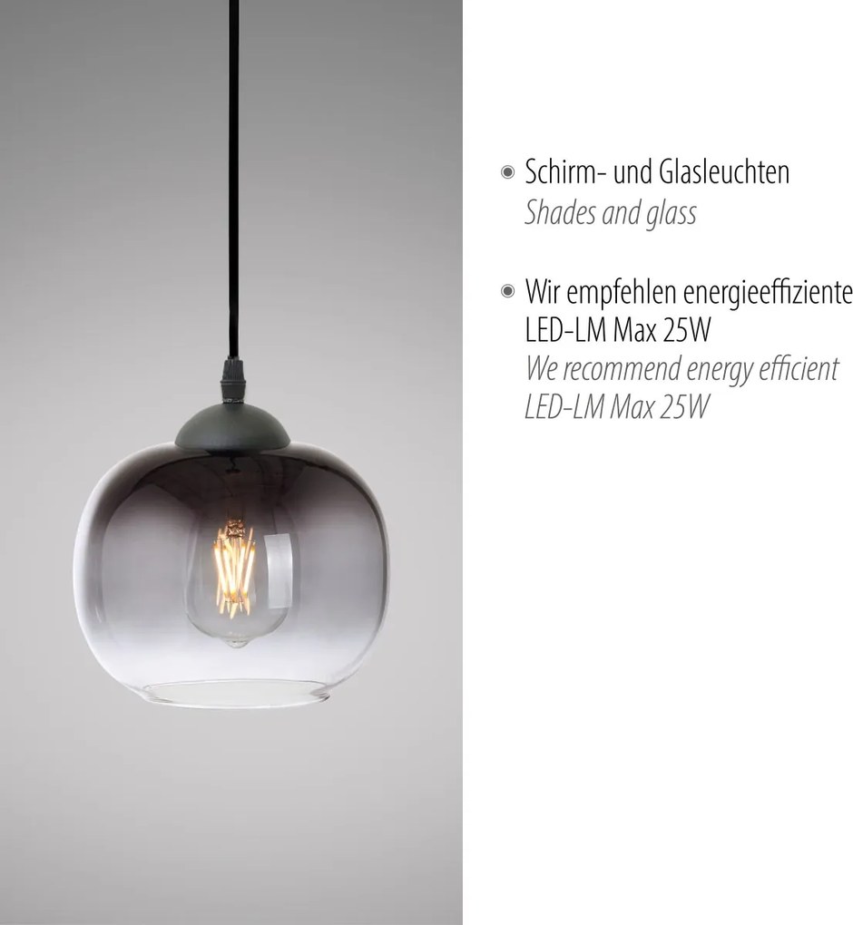 Paul Neuhaus modern függeszték zea fekete pln15420-18