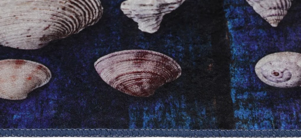 Seashell