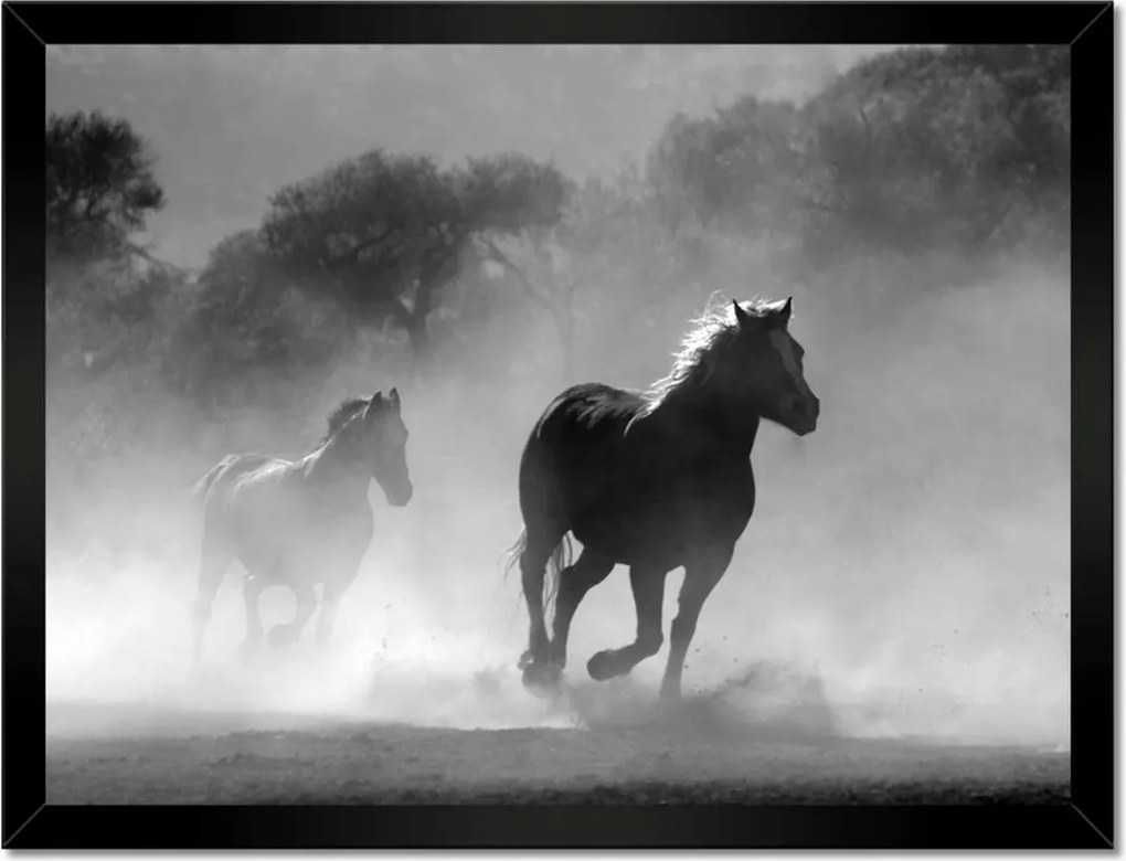 Poszterek keretben 40x30 Galoppozó lovak
