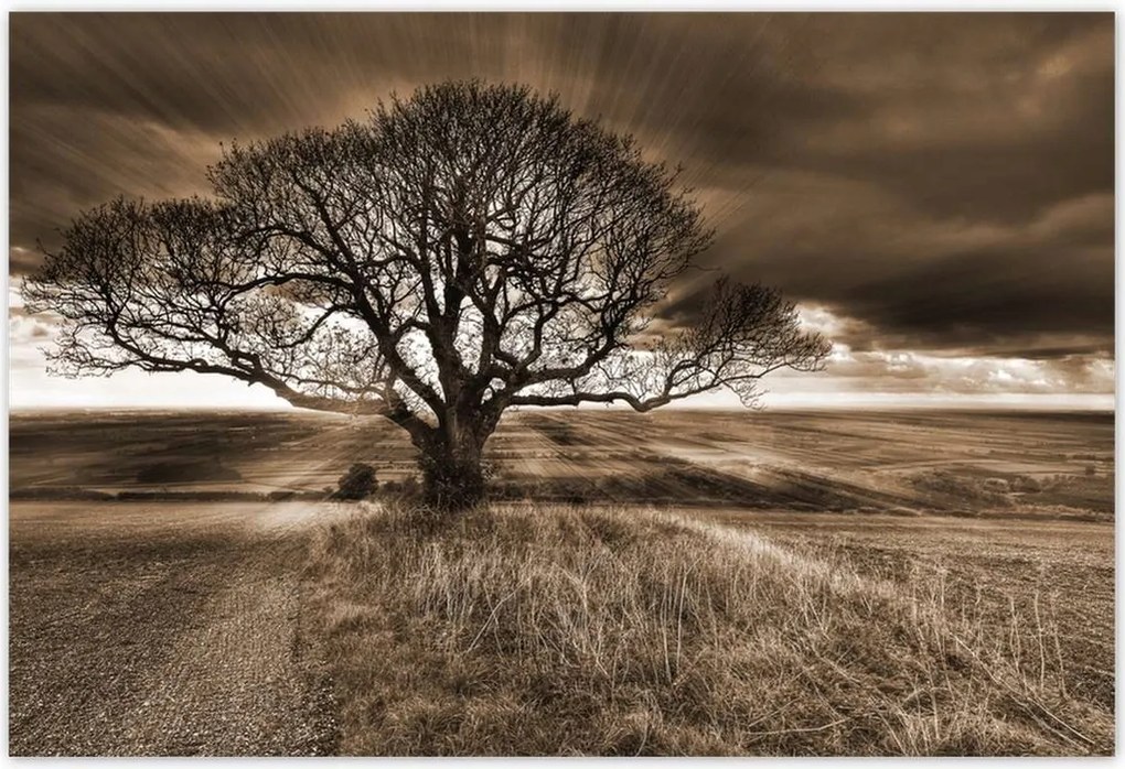 Poszterek 155x105 Tájkép varázslattal