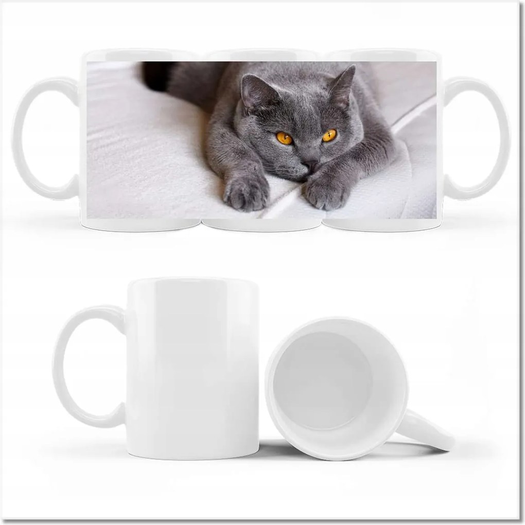 Cica fényképes bögre Cica