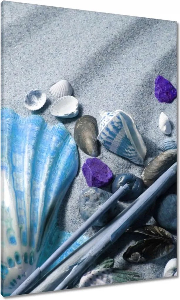 Vászonkép 70x100 Kompozíció kagylóval