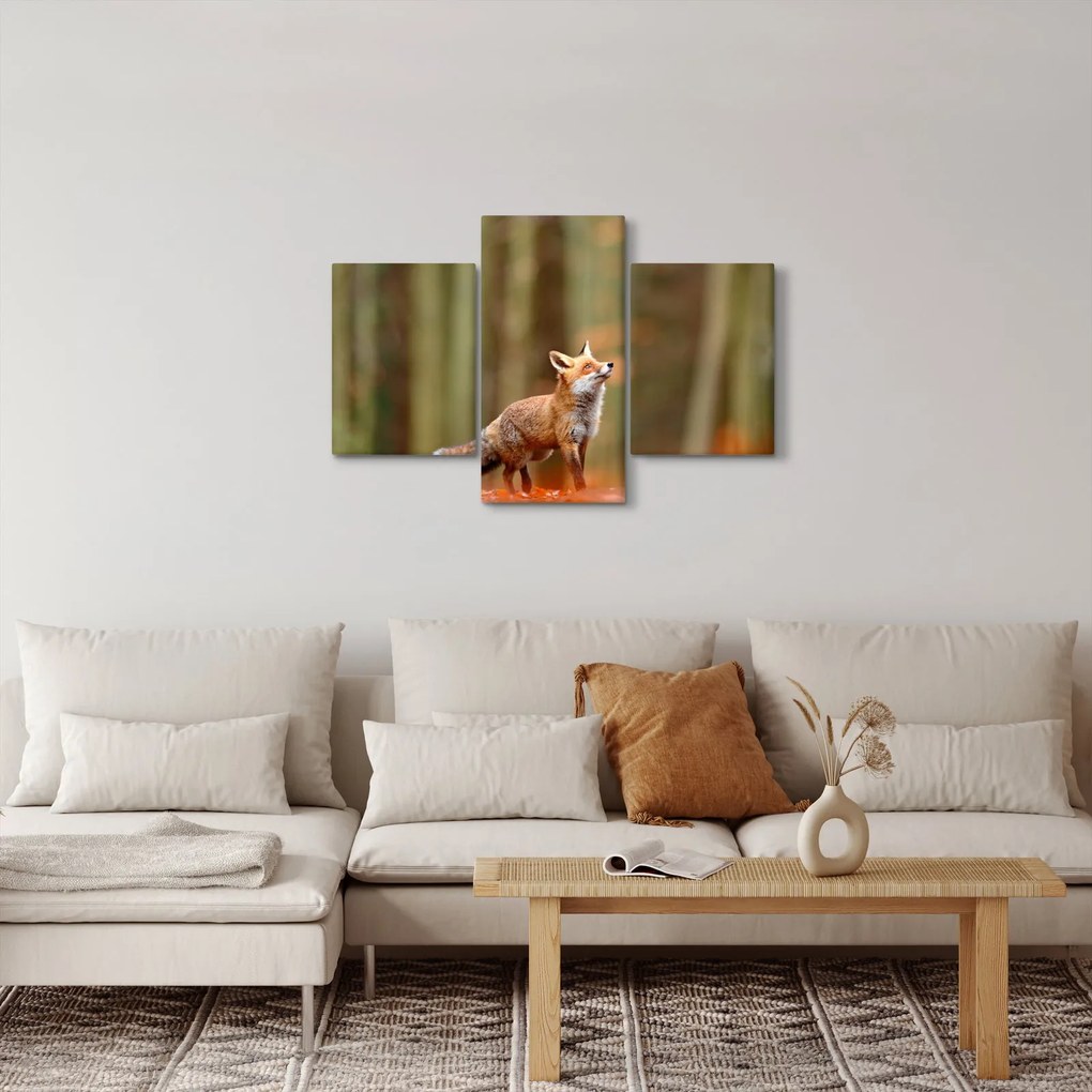 Kép - Róka (90x60 cm)