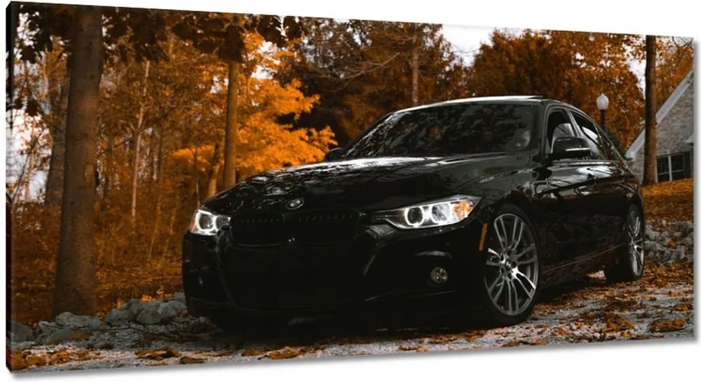 Vászonkép 115x55 Fekete Bmw Ősz