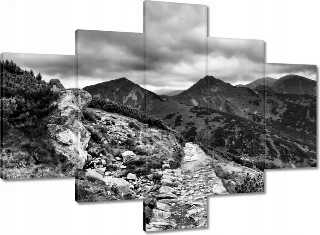 Képek 100x70 Tátra Lengyel hegyek Kilátás