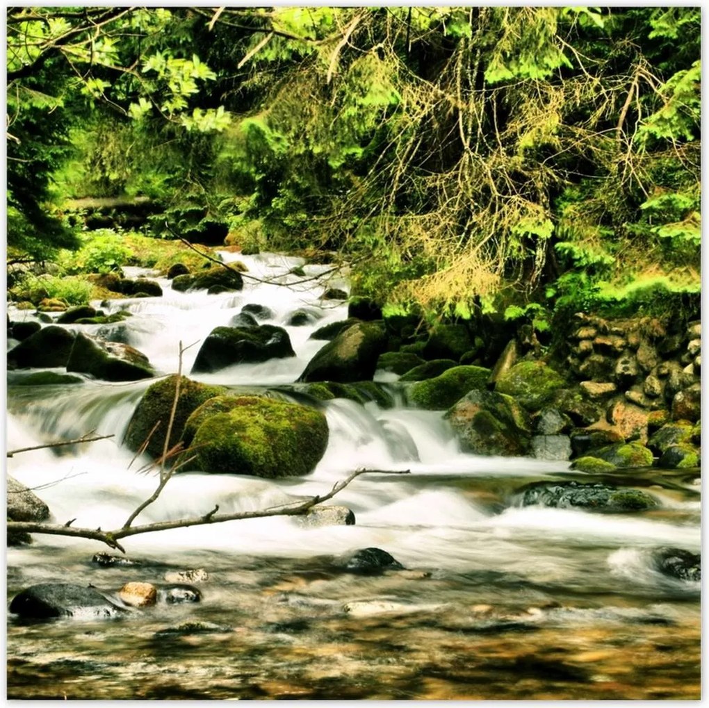 Poszterek 100x100 Folyó a Tátrában