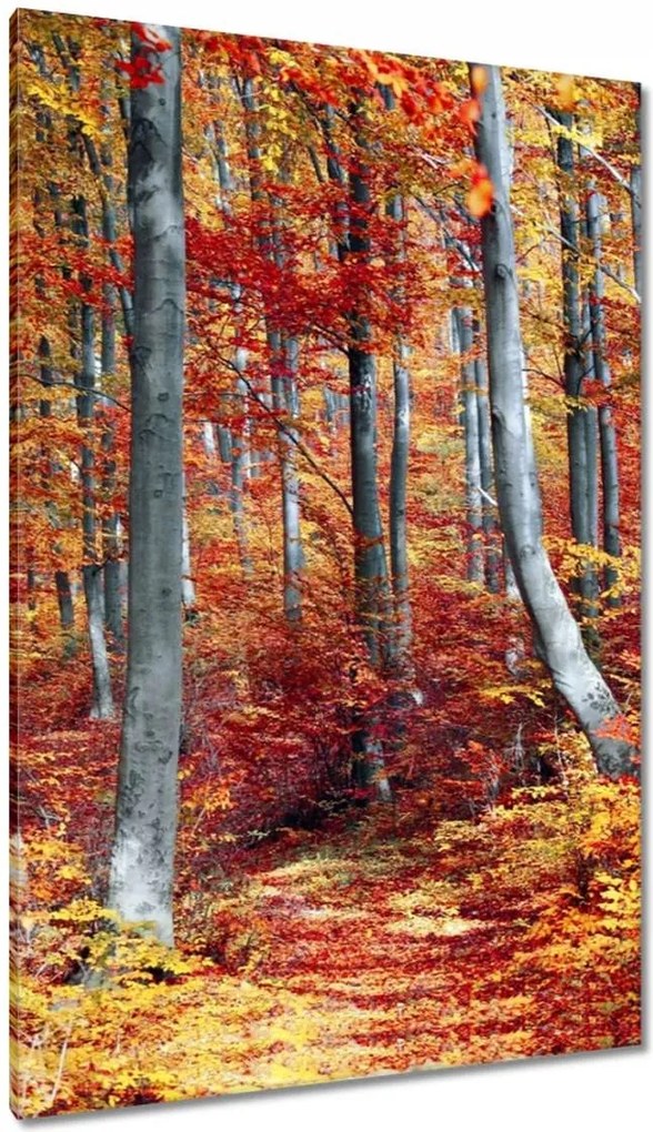 Festmények 80x120 Tájkép