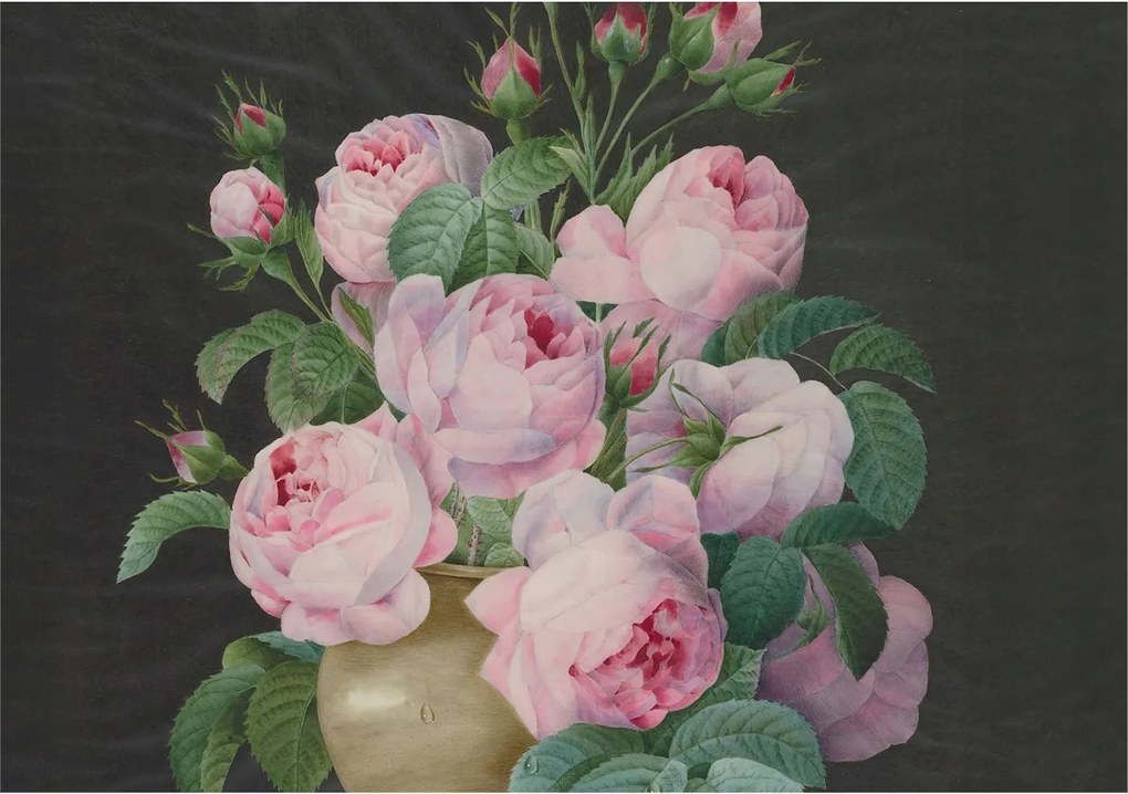 Stílusos Dekoratív fotótapéta Flizelin Virágos elegancia 208x146