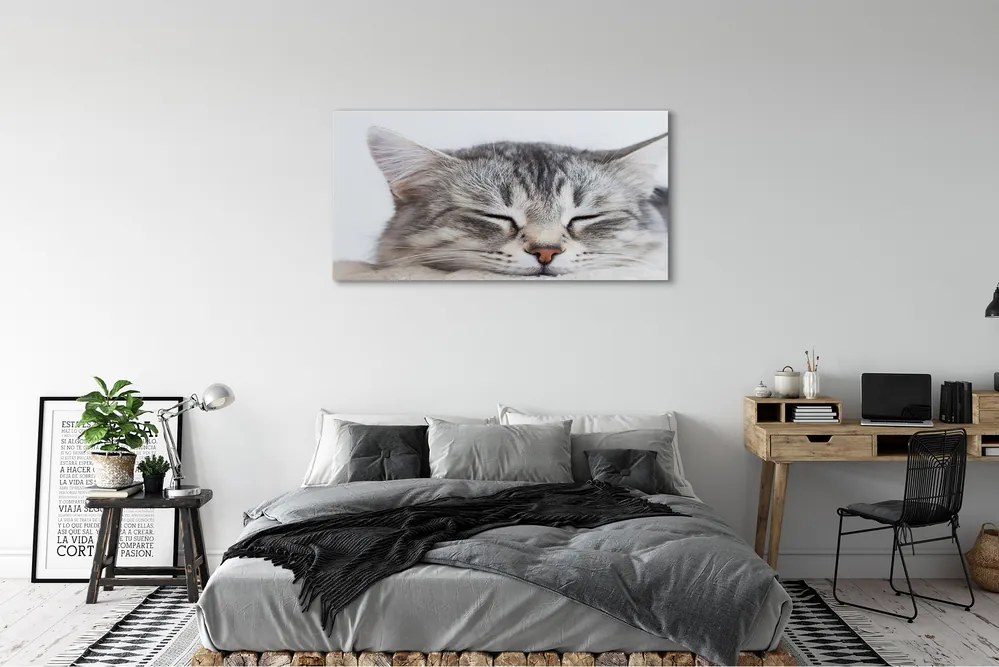 Canvas képek álmos macska 125x50 cm
