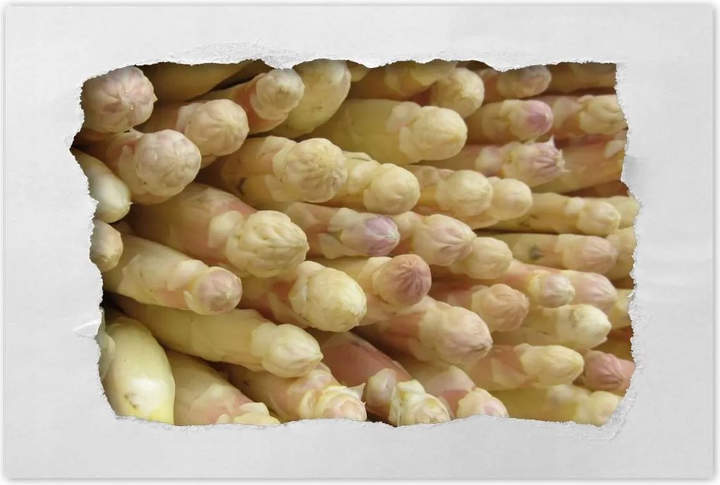 Poszterek 90x60 Friss spárga