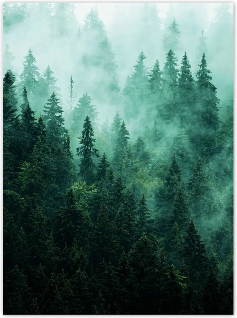 Poszterek 100x135 Erdő Köd Tájkép Utazás