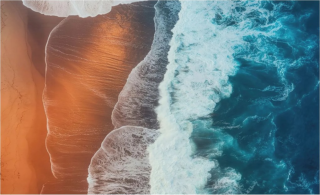 Flizelina Dekoratív Hálószoba Fotótapéta Tengeri szimbiózis 416x254 Ragasztó