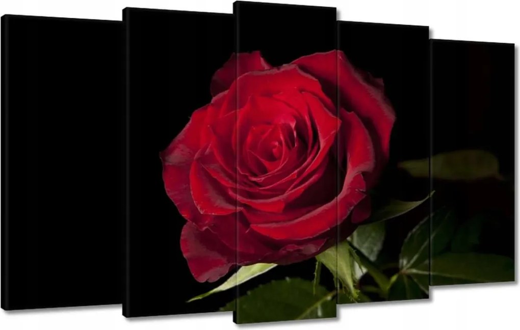 Vászonkép 100x60 Aranyos rózsa