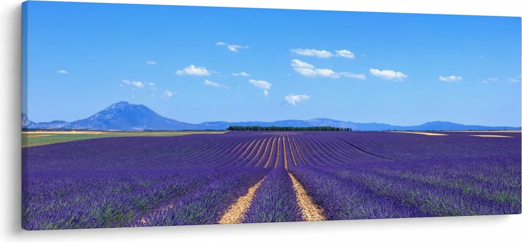 Kép - Levendula mező (120x50 cm)