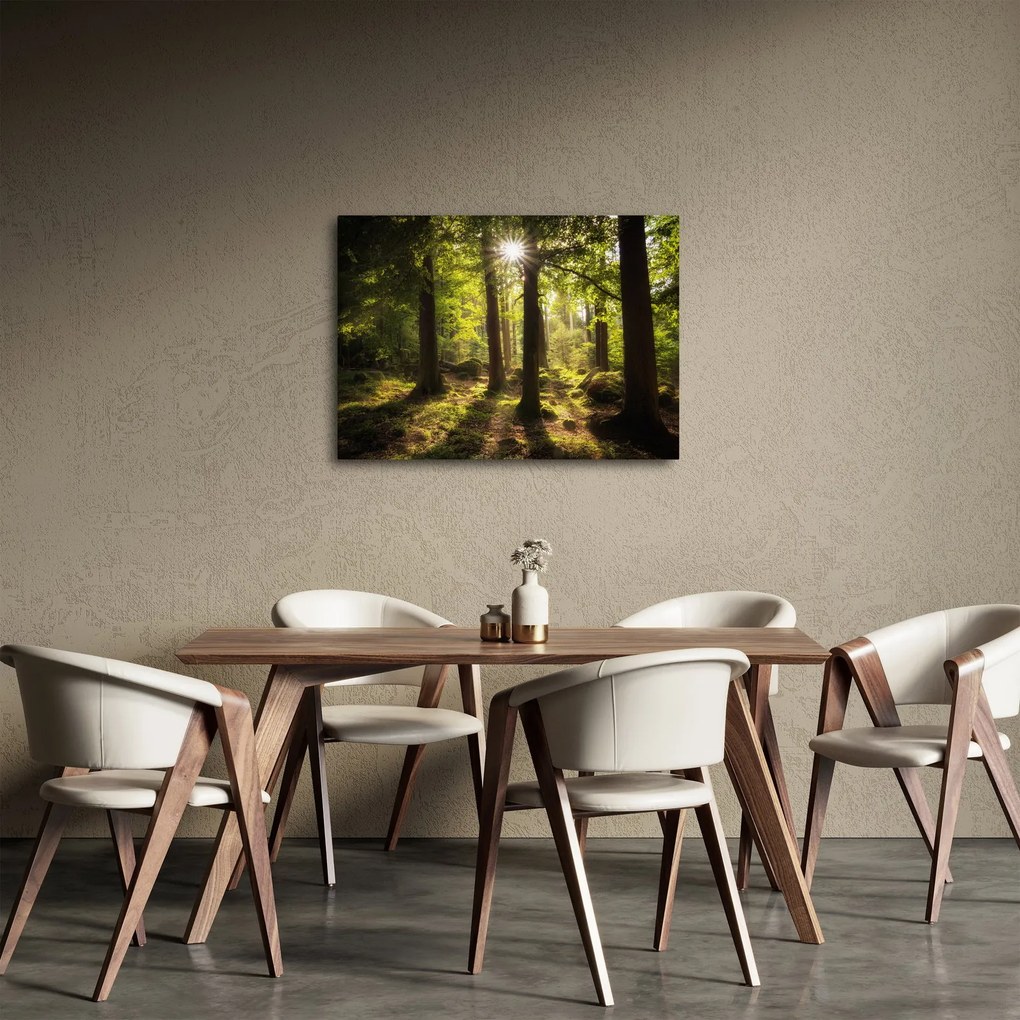 Egy álmodozó erdő képe (70x50 cm)