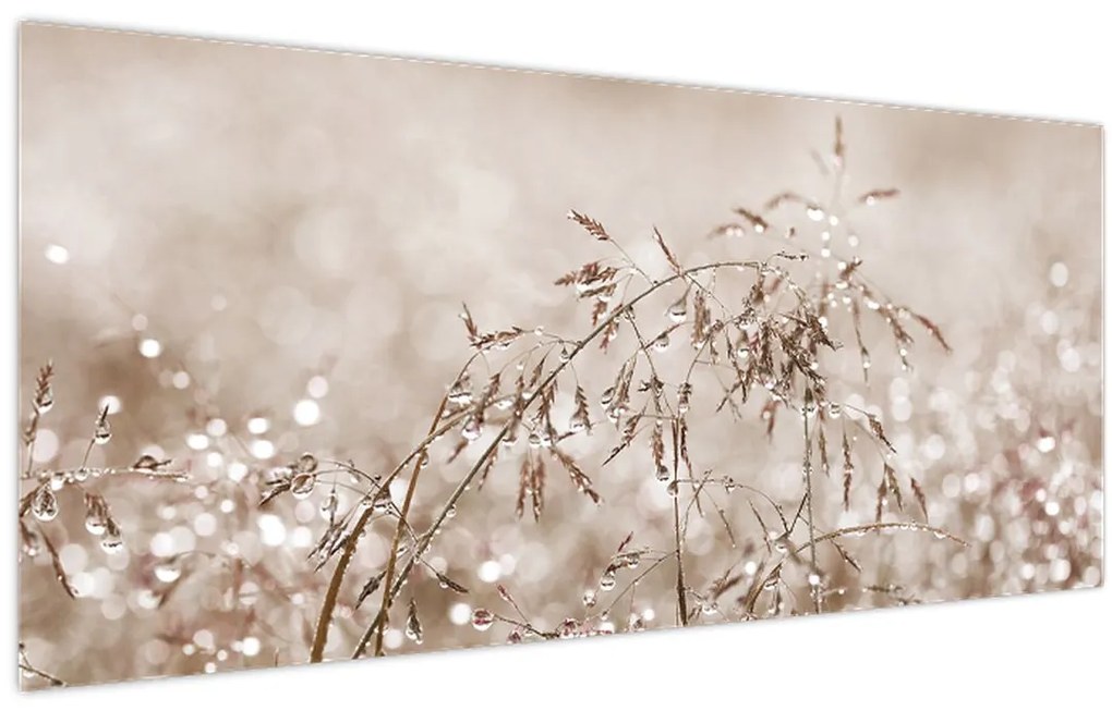 Kép - rét barna árnyalatokban (120x50 cm)