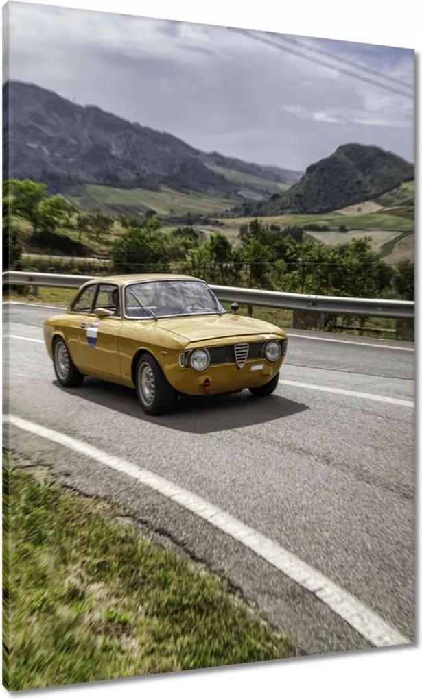 Vászonkép 70x100 Autó-Motor Autók