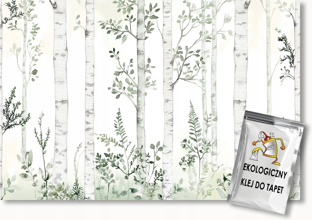 Fotótapéta Flizelina Grafika Természet Erdő Park Nyírfák 150x105 ragasztó