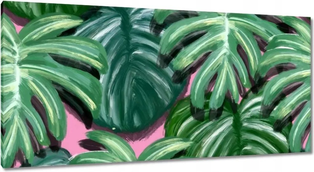Vászonkép 115x55 Monstera Levelek levél