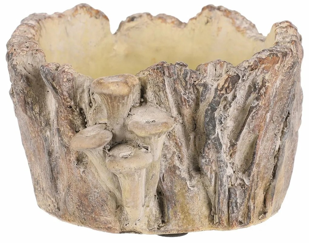 Beton burkolat - tusk with mushrooms, 18 x 14 x 9cm, 18 cm