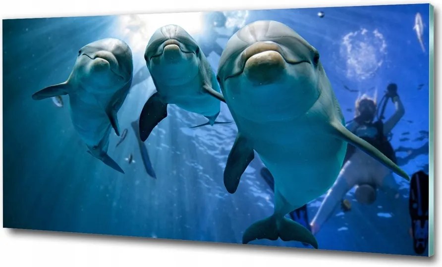 Fotó-kép edzett üveg Három delfin 100x70