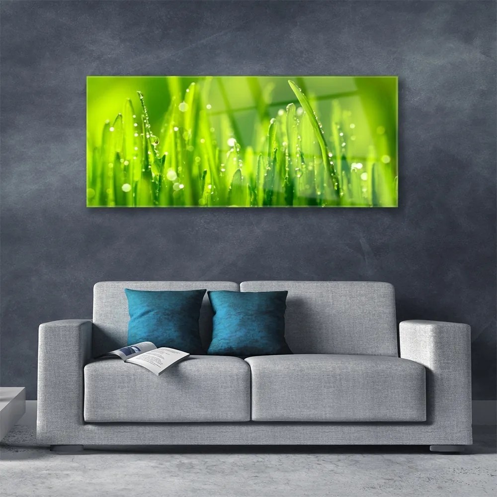 Üvegkép Green Grass Dew Drops 120x60cm