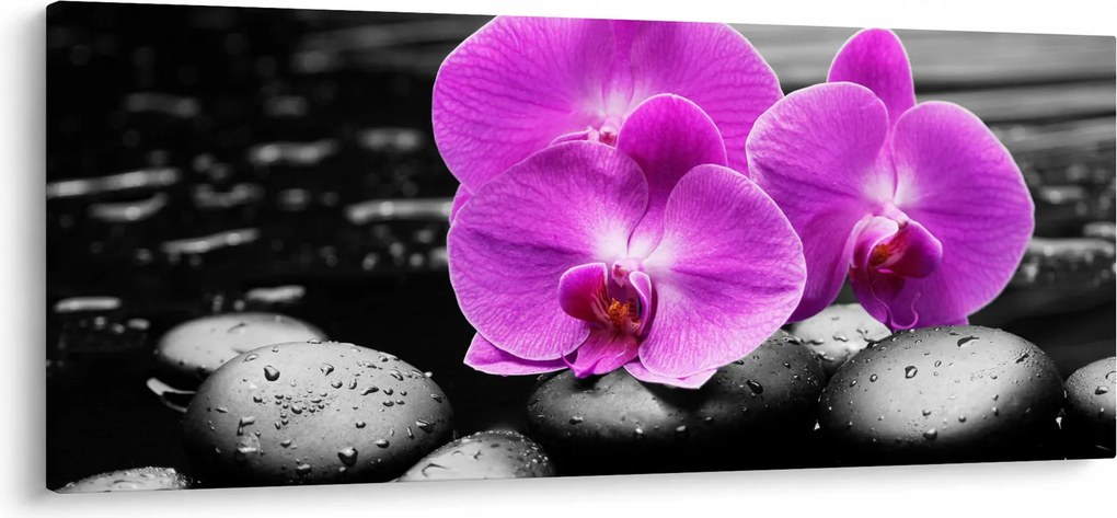 Kép - Lila orchideák (120x50 cm)