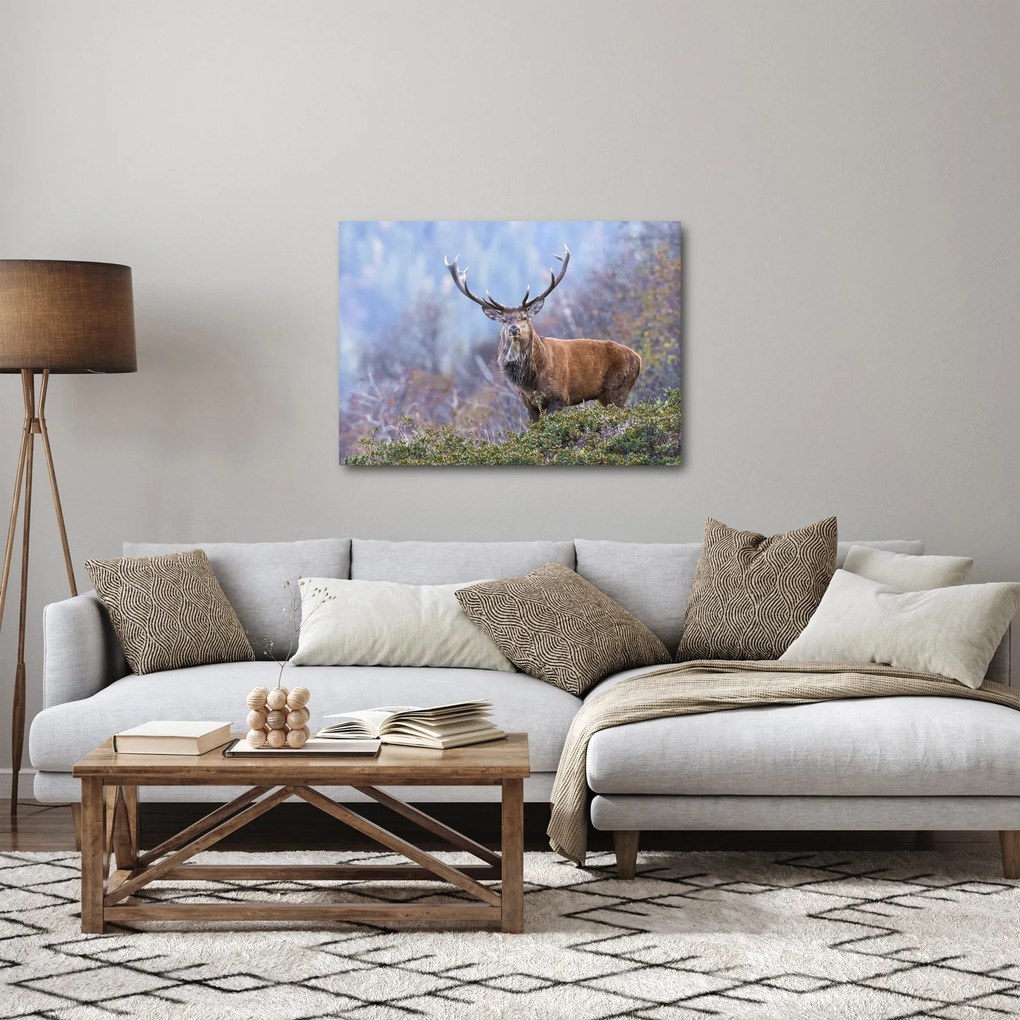 Kép - Szarvasok a tájban (70x50 cm)