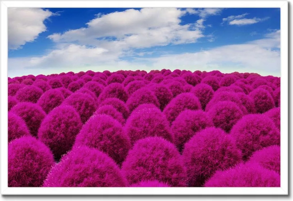 Poszterek keretben 60x40 Kifejező rét Tájkép