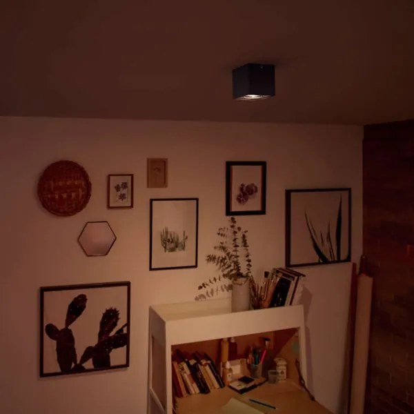 Philips 50491/30/P0 - LED Dimmelhető lámpa MYLIVING BOX 1xLED/4,5W/230V