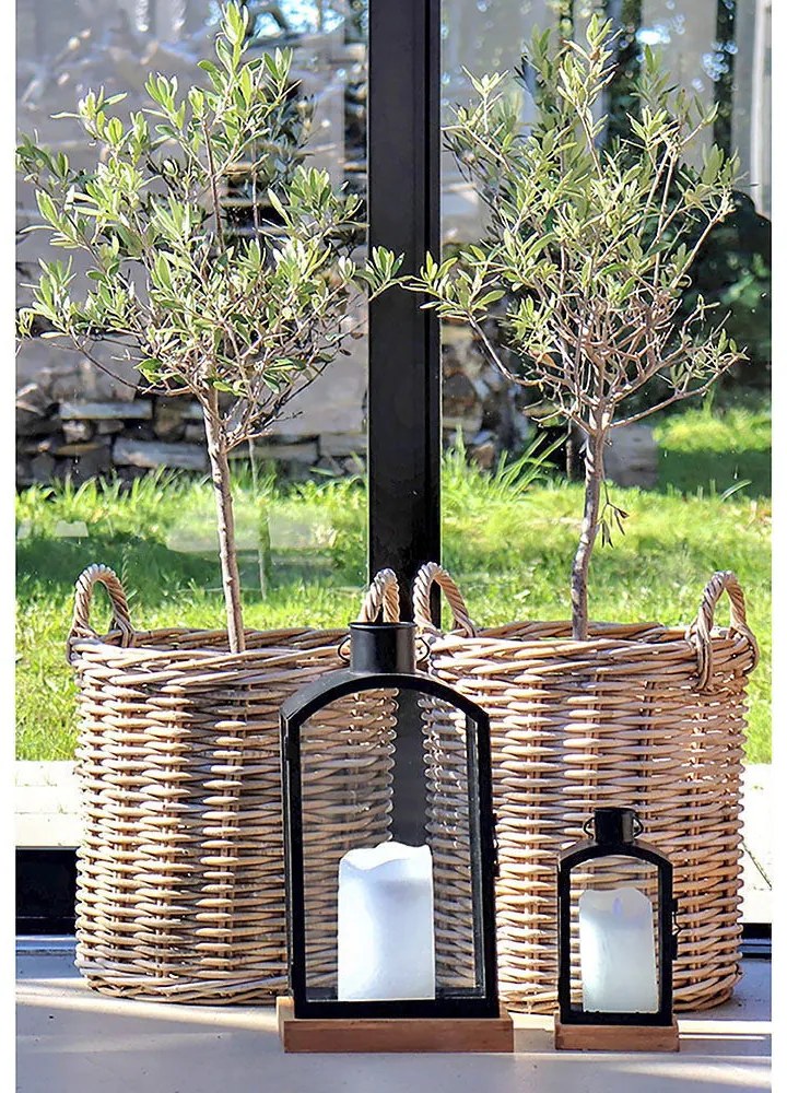 Indo kosarak, kubu rattan, natúr 2db