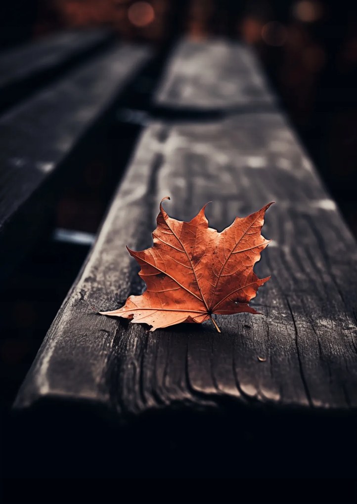 Poszter 42x59,4cm Egyetlen levél