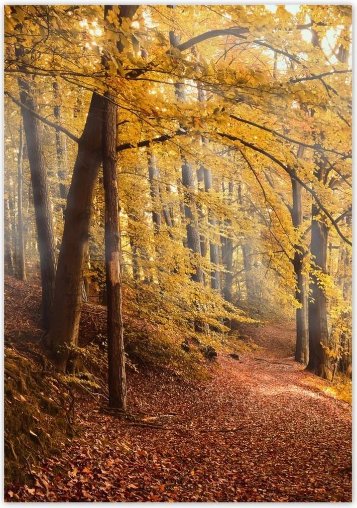 Poszterek 70x100 Tájkép Látvány