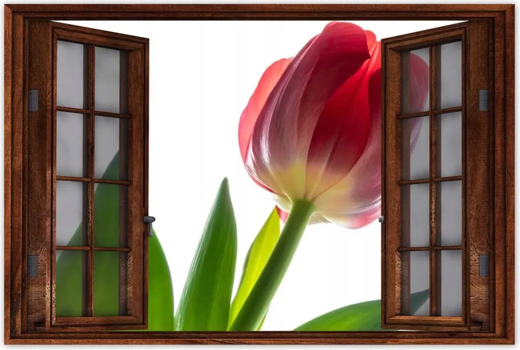 Poszter 60x40 Piros tulipán virág