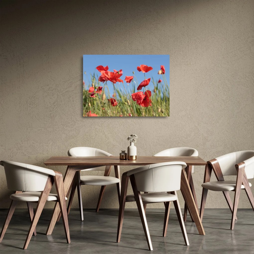 Kép - Pipacsok  (üvegen) (70x50 cm)