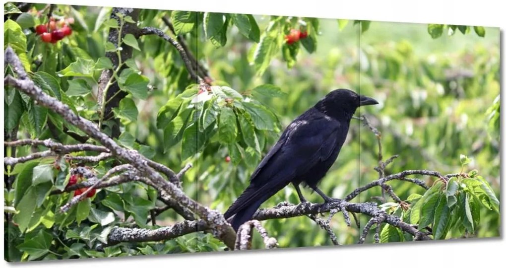 Vászonkép 180x90 Madarak