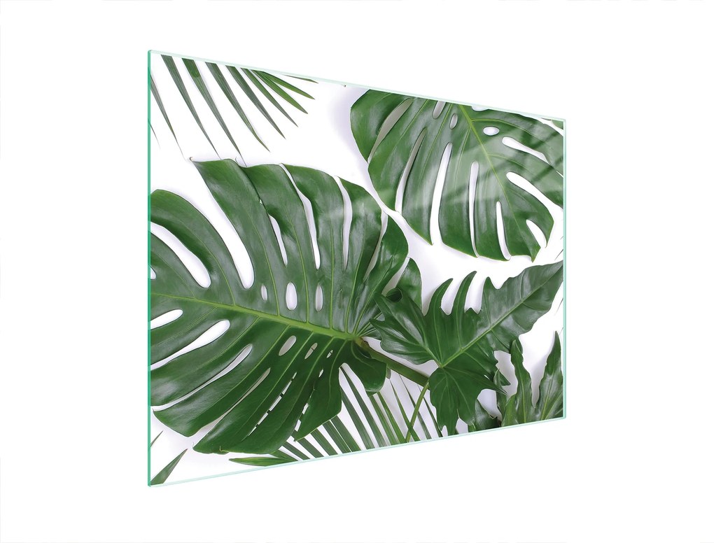 Üveg Vágódeszka 40x30 Monstera Edzett Üveg