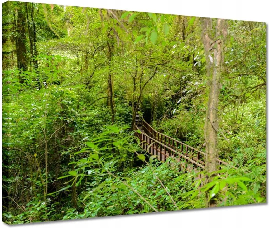 Vászonkép 40x30 Tájkép park