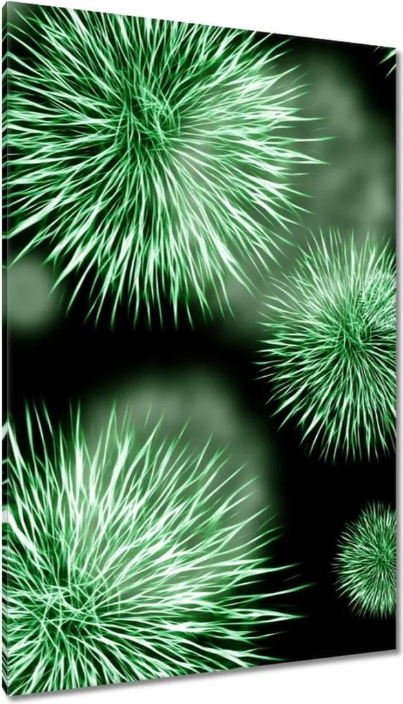 Festmények 80x120 Vírus Makro Közelkép