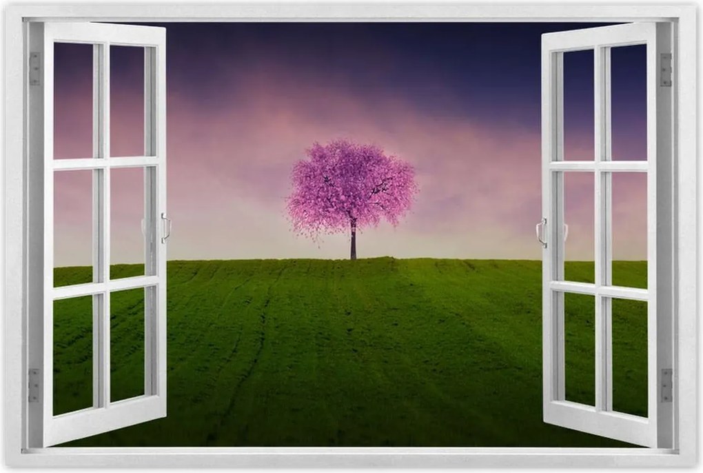 Poszter 60x40 Malackafa