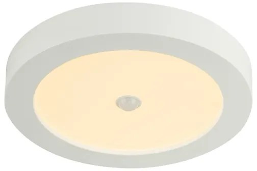 Globo 41605-18S - LED kültéri mennyezeti lámpa PAULA érzékelővel 1xLED / 18W / 230V