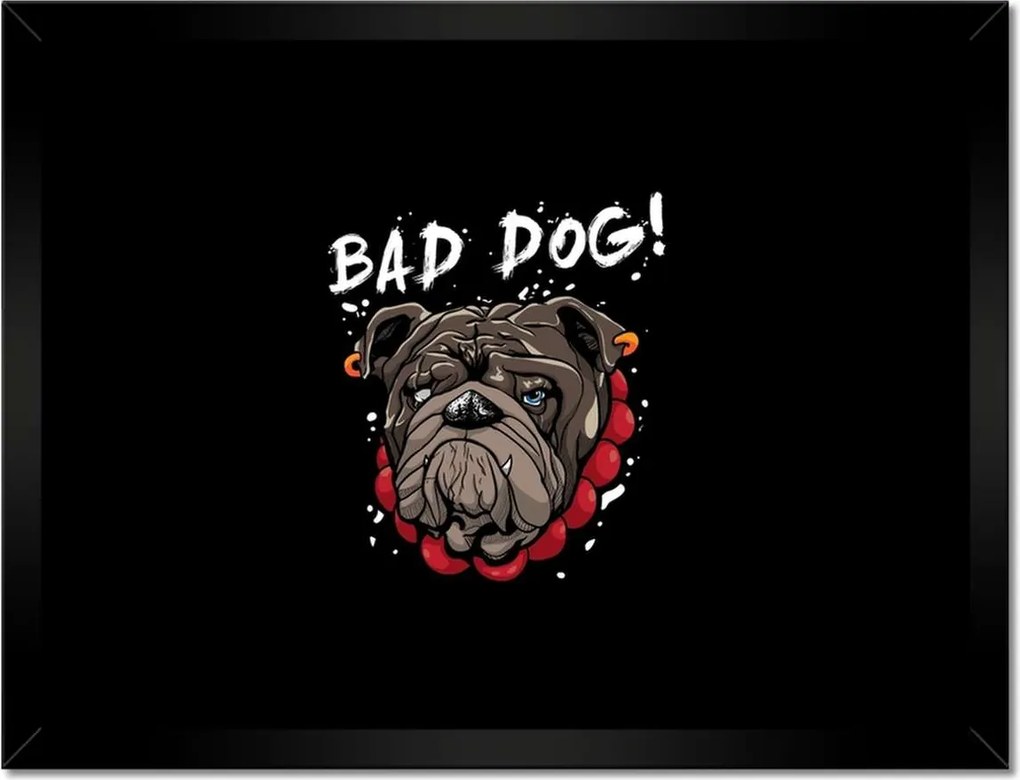 Poszterek keretben 40x30 Gonosz kutyus
