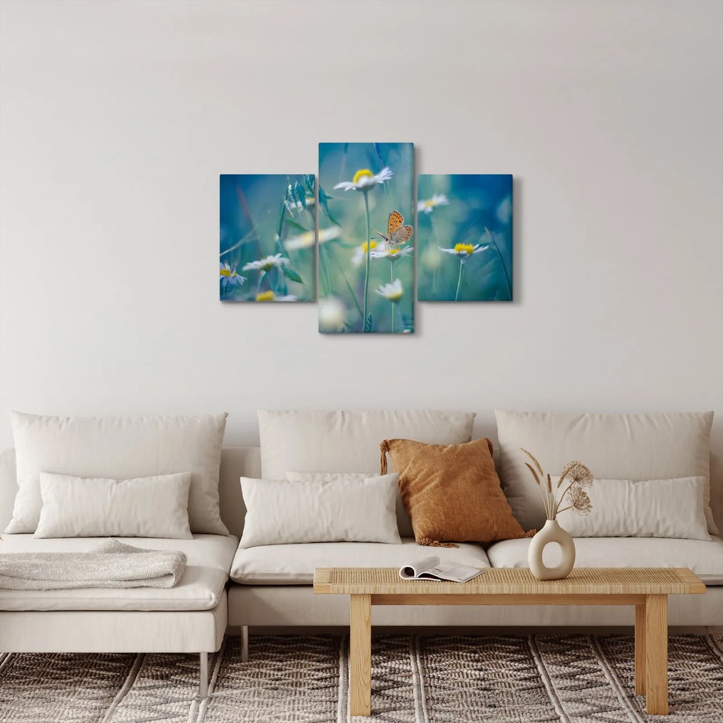 Kép - pillangó a százszorszépen (90x60 cm)