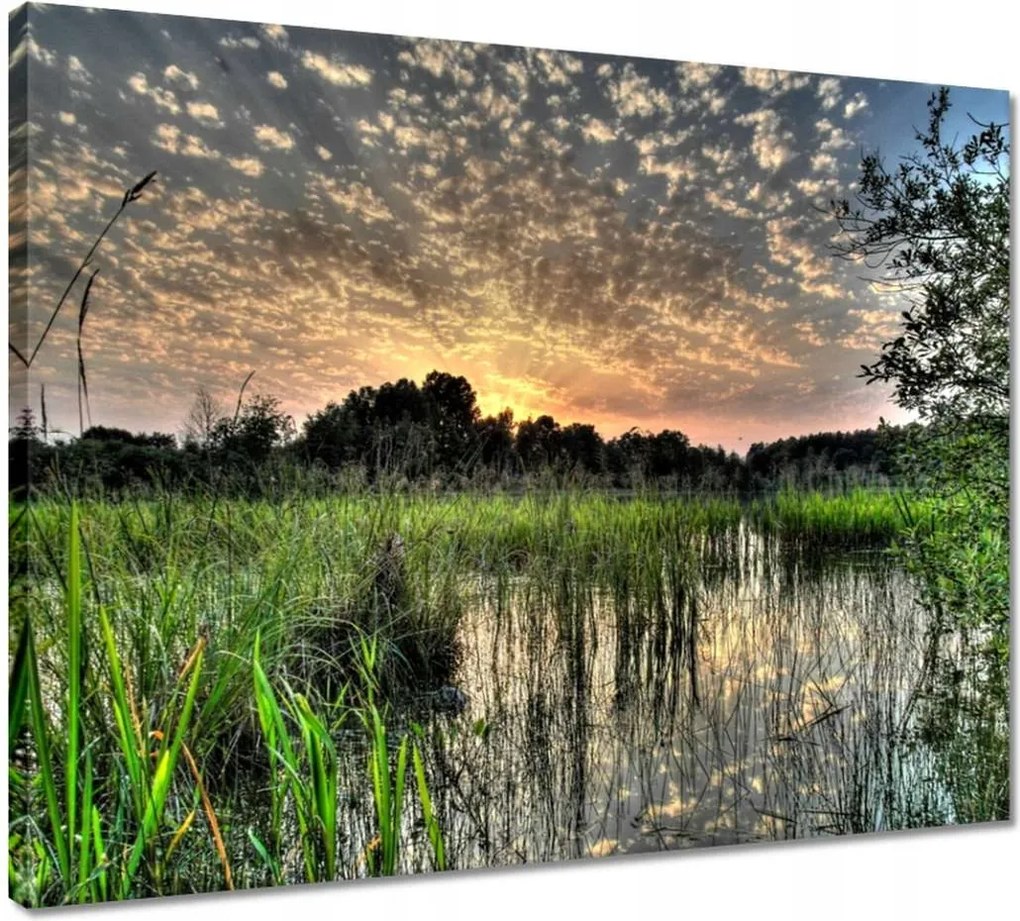 Vászonkép 50x40 Lápvidék