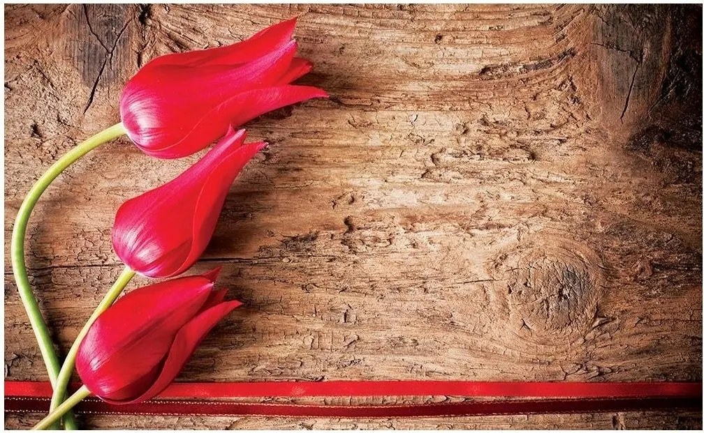 Fotótapéta tulipán virágok fotótapéta 416 x 254