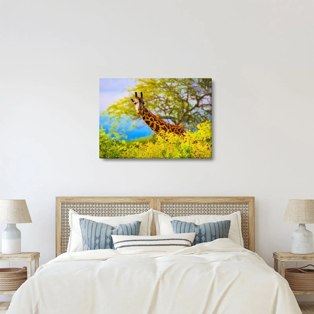 Egy kép egy zsiráfról Afrikában (70x50 cm)