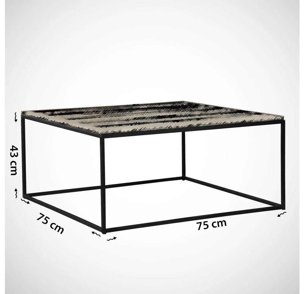 Dohányzóasztal Poline (fehér + fekete) . 1102476
